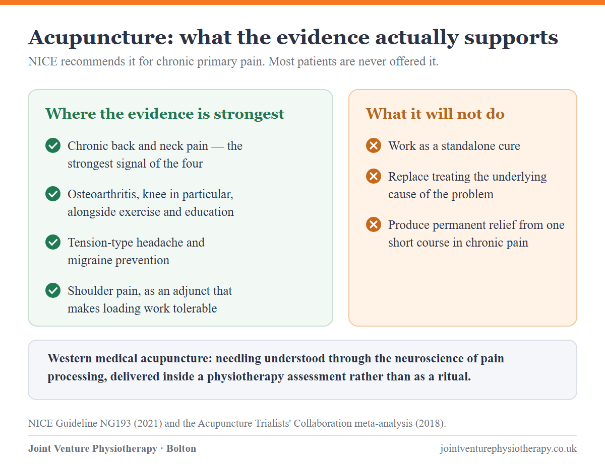 Two-column panel. Where acupuncture has the strongest evidence: chronic back and neck pain, osteoarthritis particularly of the knee, tension-type headache and migraine prevention, and shoulder pain as an adjunct. What it will not do: work as a standalone cure, replace treating the underlying cause, or give permanent relief from one short course.