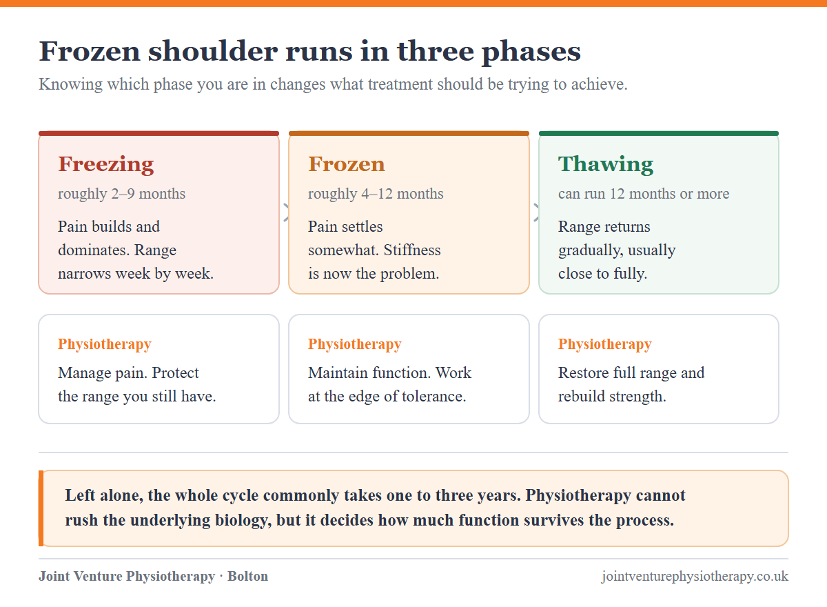 Timeline of the three phases of frozen shoulder — freezing at roughly two to nine months, frozen at roughly four to twelve months, and thawing which can run twelve months or more — with what physiotherapy aims to achieve in each phase.