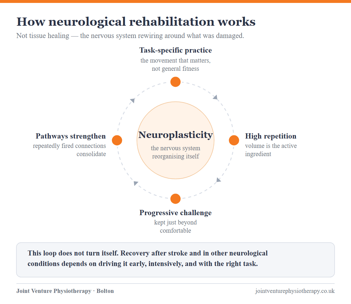Circular diagram of the neuroplasticity loop that neurological rehabilitation drives: task-specific practice, high repetition, progressive challenge, and pathways strengthening, feeding back into further practice.